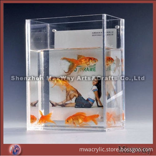 Rectangle Clear Tabletop Acrylic Fish Bowl/Fish Jar/Tank/Aquarium with Photo Frame